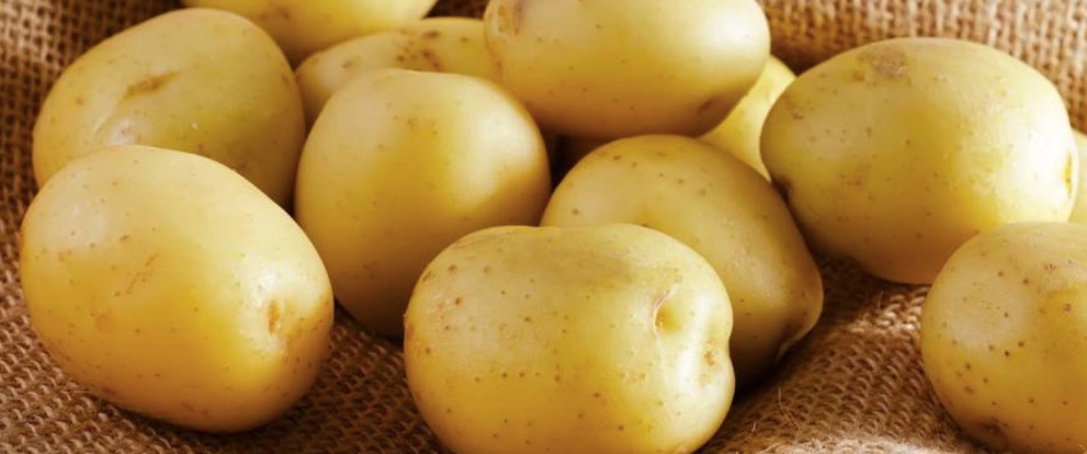 Pommes de terre